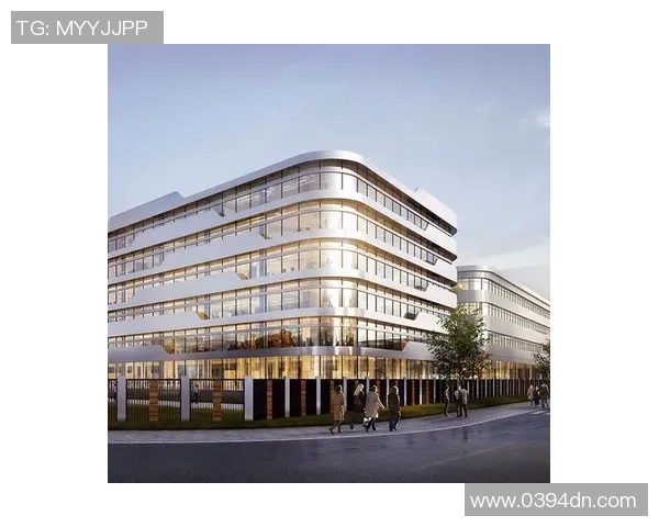 经典案例回顾：彩神Vll成功项目的深度分析与启示分享