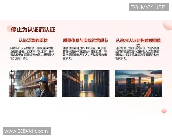 提升效率与市场竞争力快盈VIII的品牌定位与差异化策略探讨