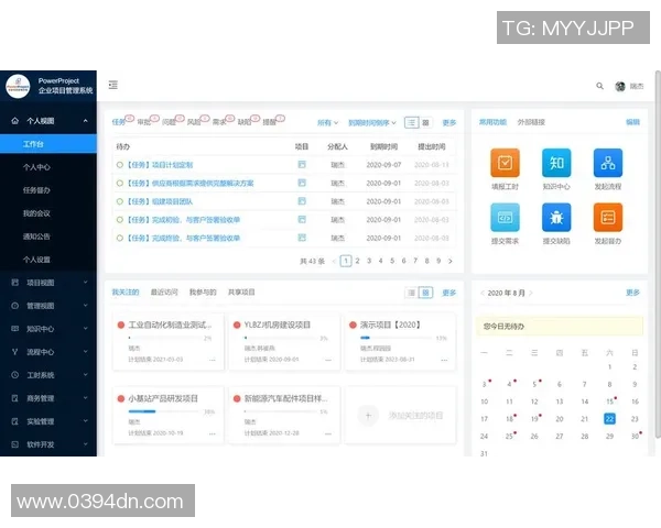 经典案例回顾：彩神Vll成功项目的深度分析与启示分享